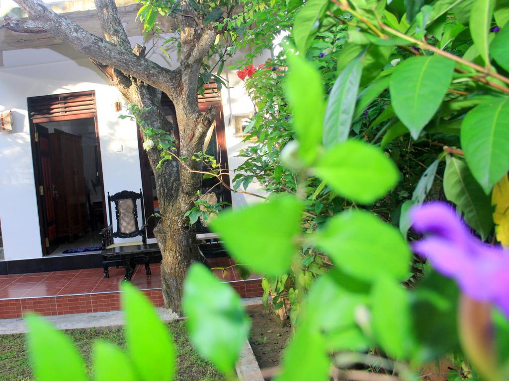 Lotus Villa Mirissa Εξωτερικό φωτογραφία