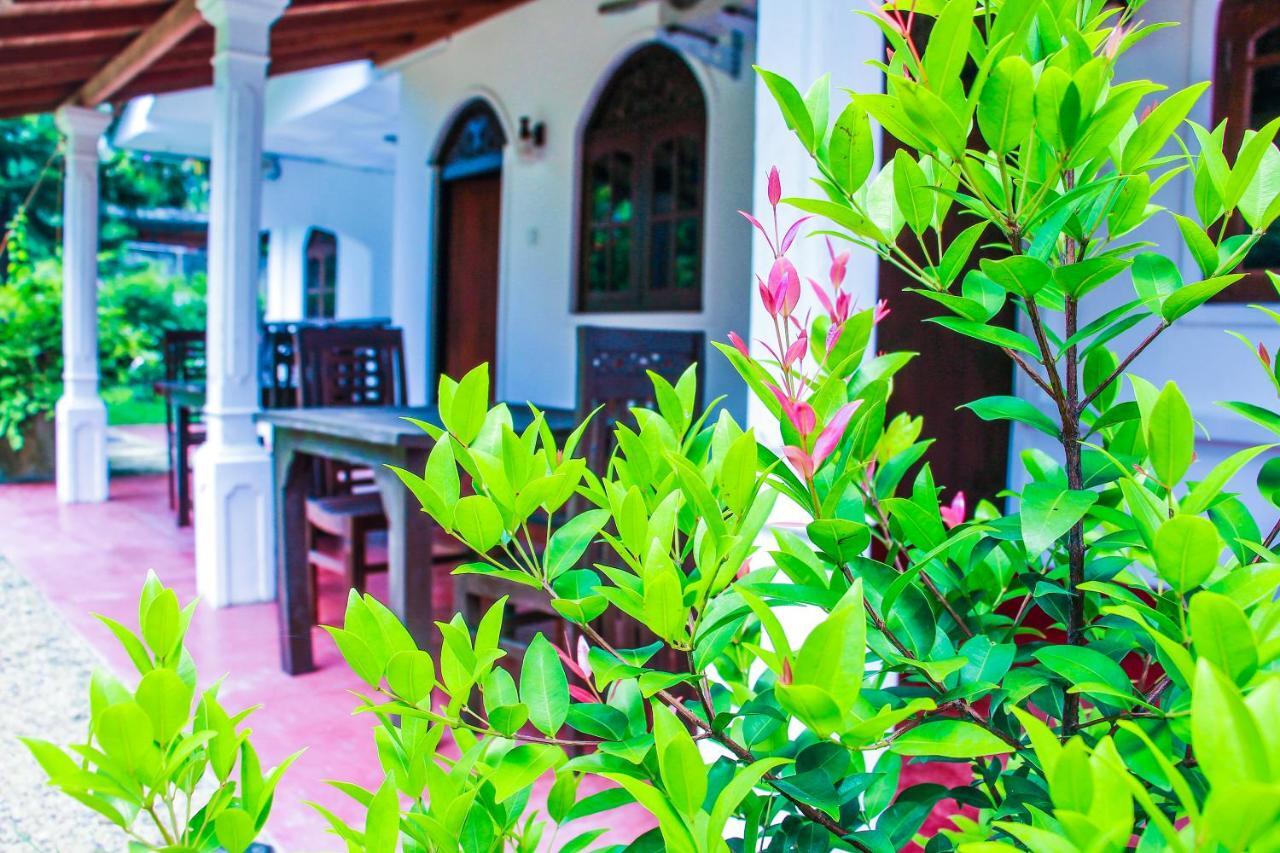 Lotus Villa Mirissa Εξωτερικό φωτογραφία